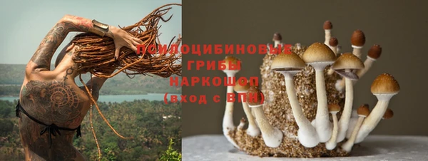 винт Алексин