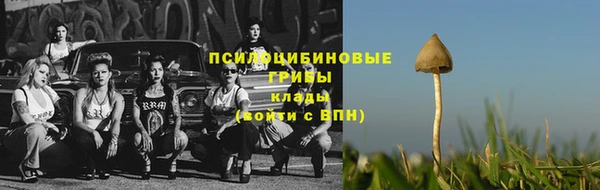 молекула духа Абинск