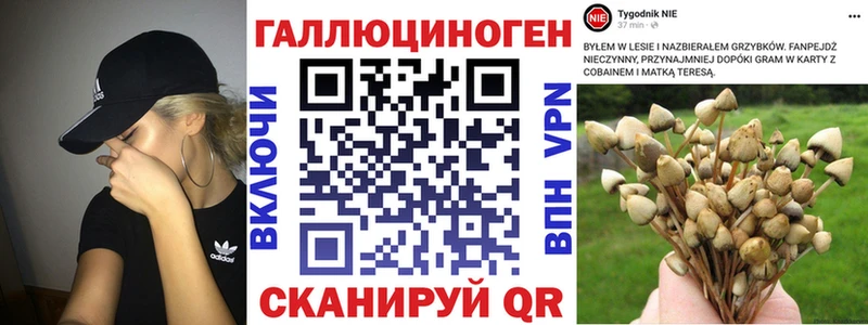 Псилоцибиновые грибы GOLDEN TEACHER  Богородск 